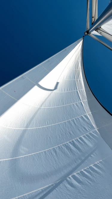 Shutterstock 766489309