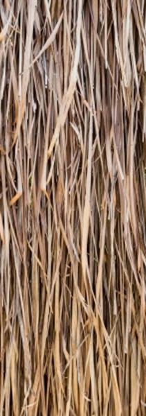 Textura De Colmo 4043 1475