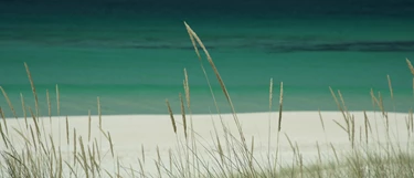 Comporta Conceptual Background