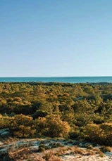 Comporta 800X445